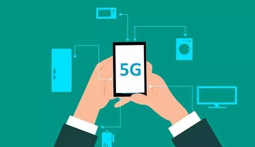 三彩家科技 借力信息技術咨詢，賦能生活服務行業降本增效